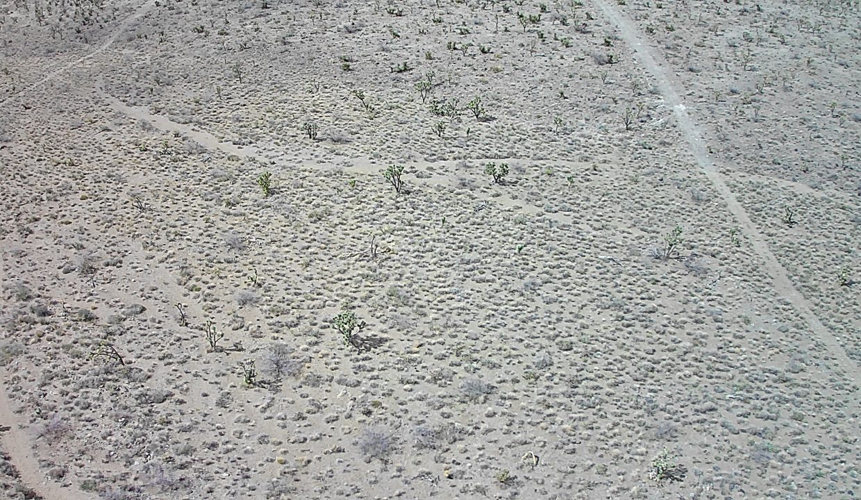 20250501-151911-535103-0