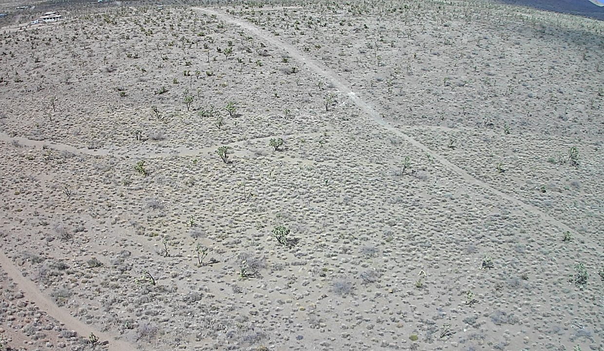 20250501-151936-146338-0