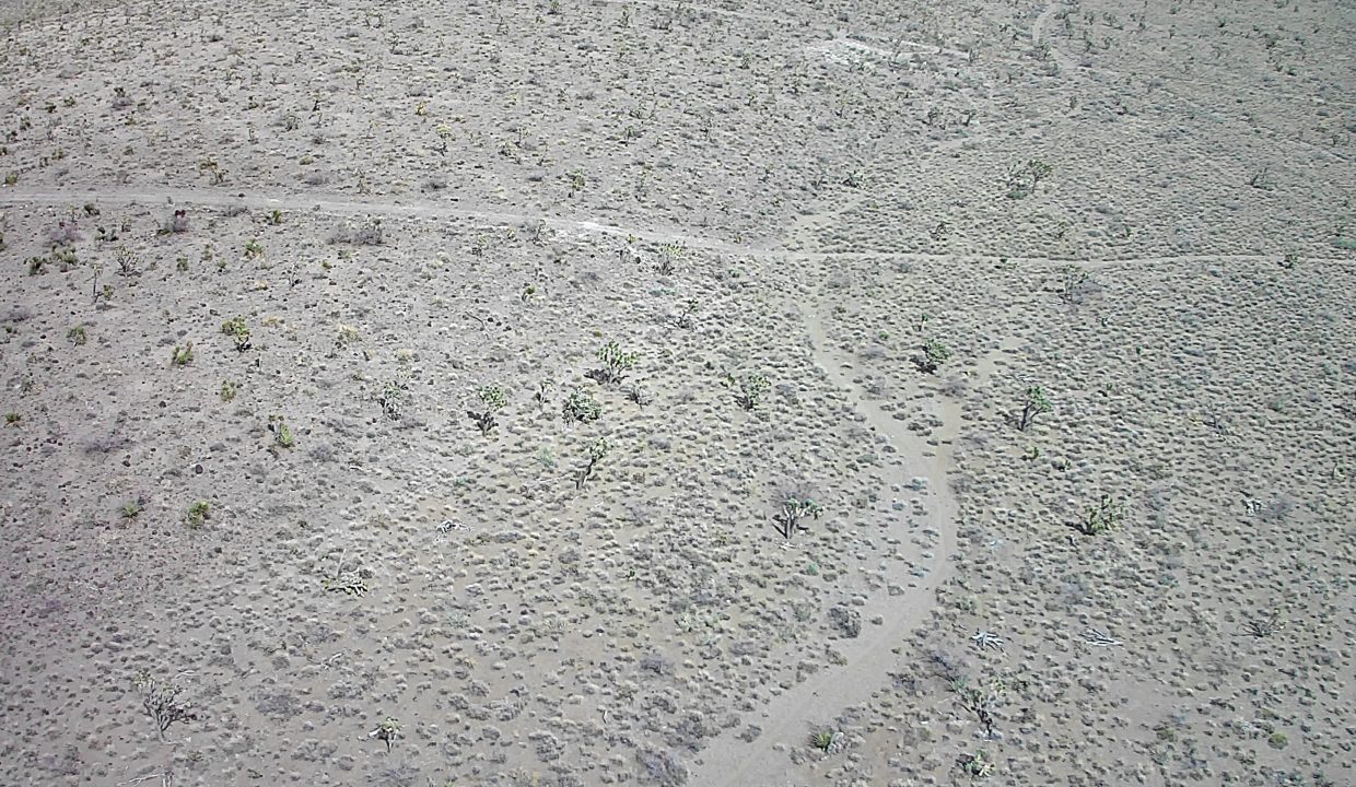 20250501-152038-075593-0