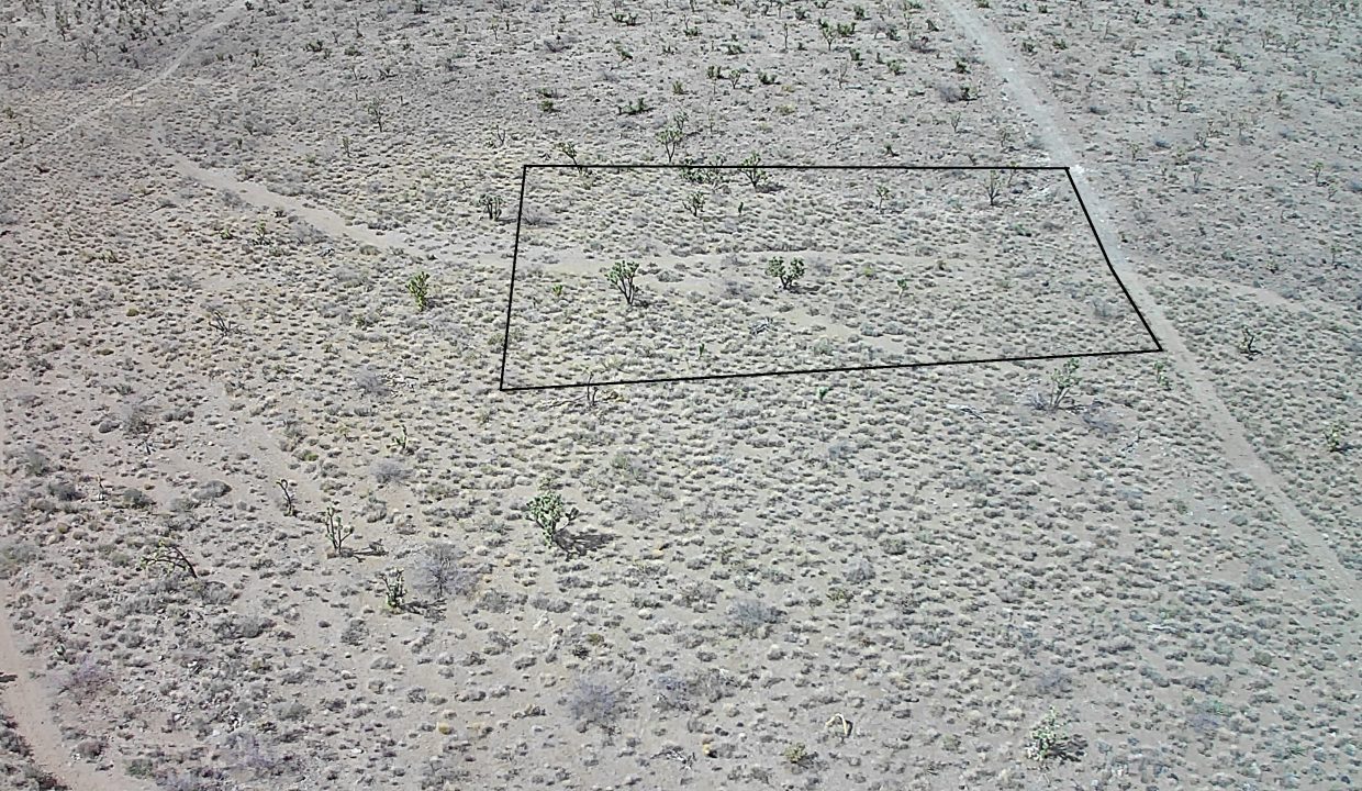 property line