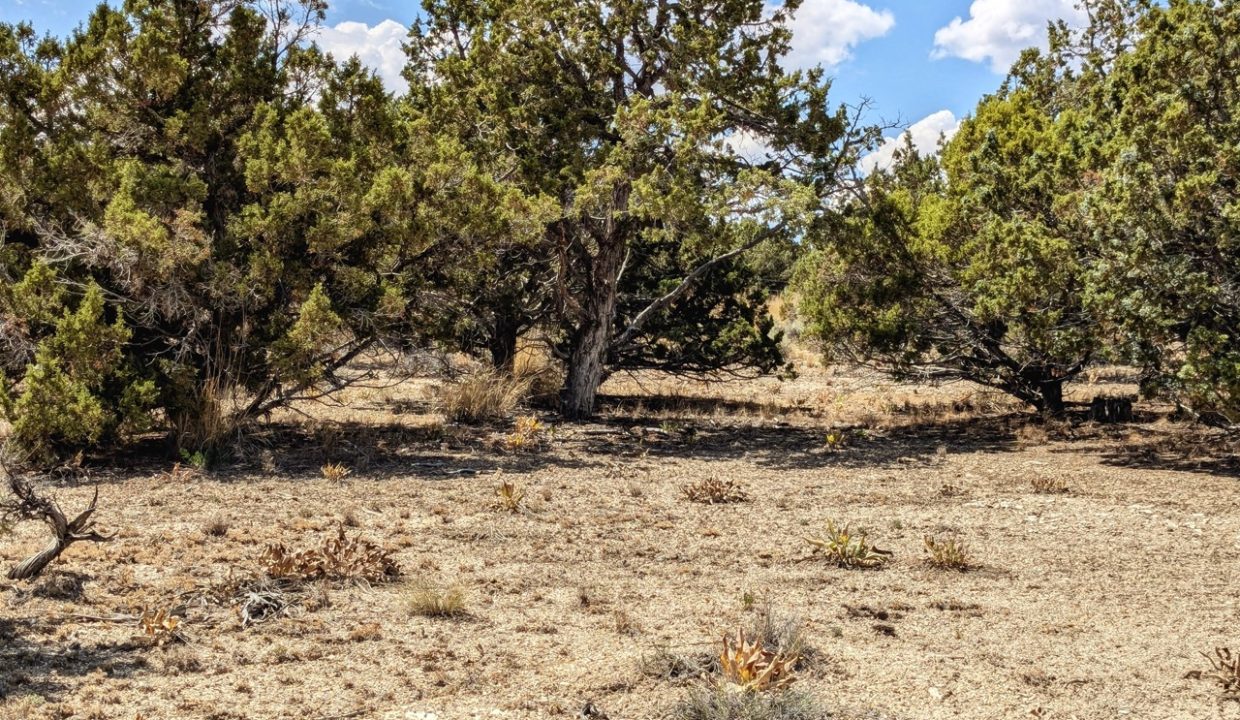 GroundPhoto12-NV-Elko-2.27ac-014-022-013-S-Syrett Large