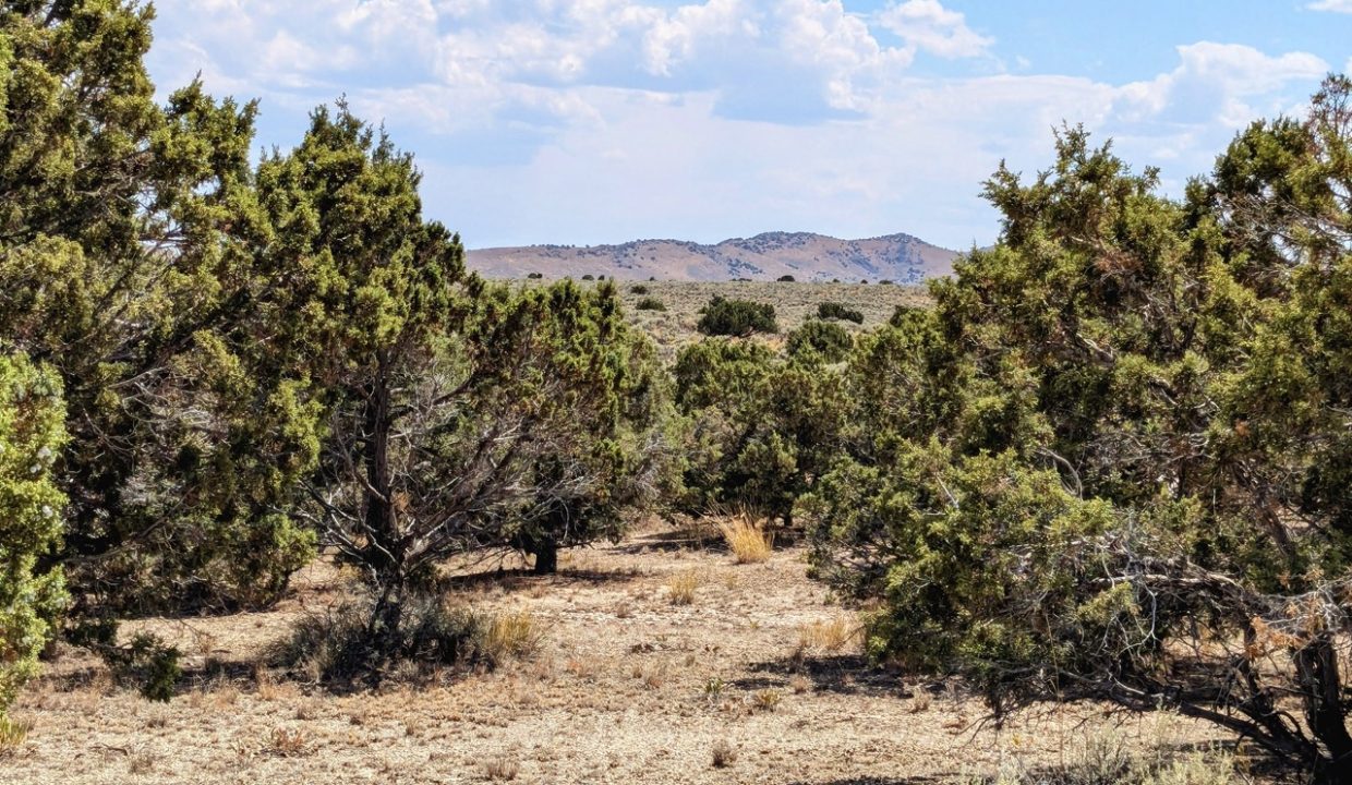 GroundPhoto13-NV-Elko-2.27ac-014-022-013-S-Syrett Large