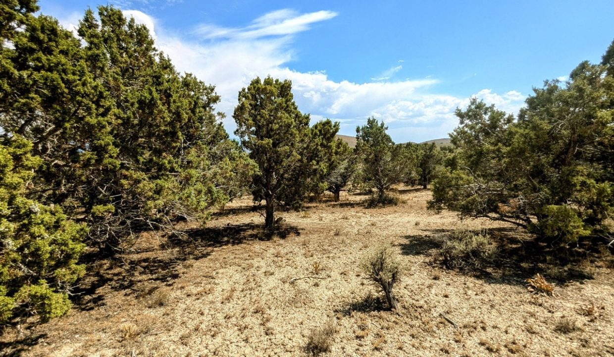 GroundPhoto14-NV-Elko-2.27ac-014-022-013-S-Syrett Large