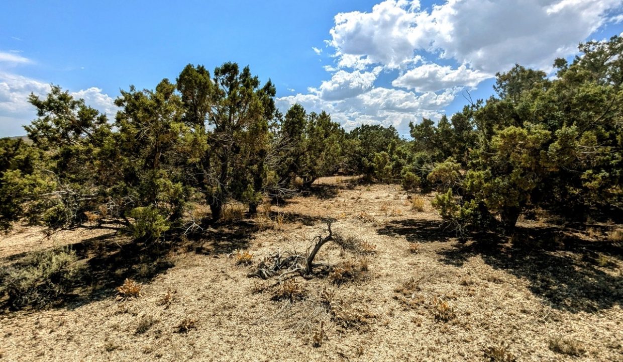 GroundPhoto15-NV-Elko-2.27ac-014-022-013-S-Syrett Large