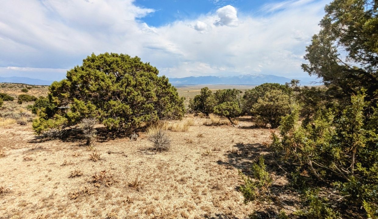 GroundPhoto16-NV-Elko-2.27ac-014-022-013-S-Syrett Large