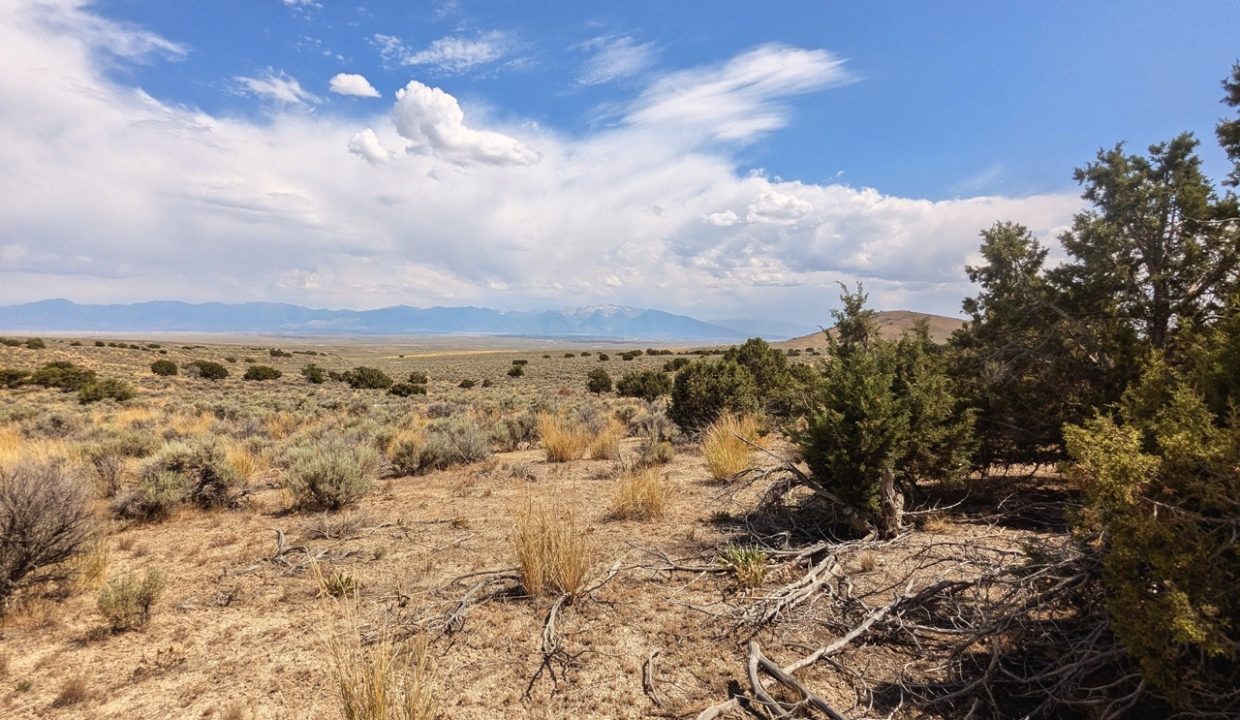 GroundPhoto17-NV-Elko-2.27ac-014-022-013-S-Syrett Large