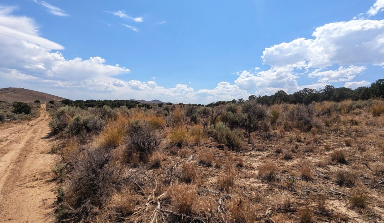 GroundPhoto4-NV-Elko-2.27ac-014-022-013-S-Syrett Large