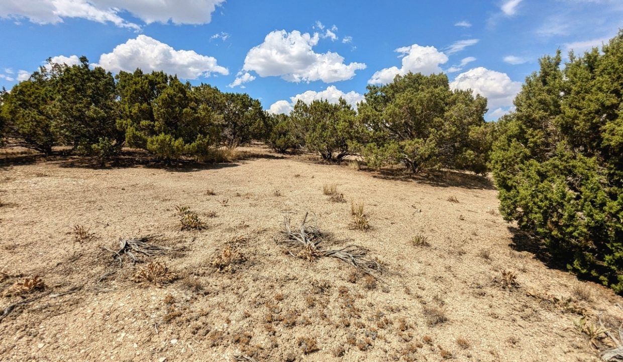 GroundPhoto7-NV-Elko-2.27ac-014-022-013-S-Syrett Large