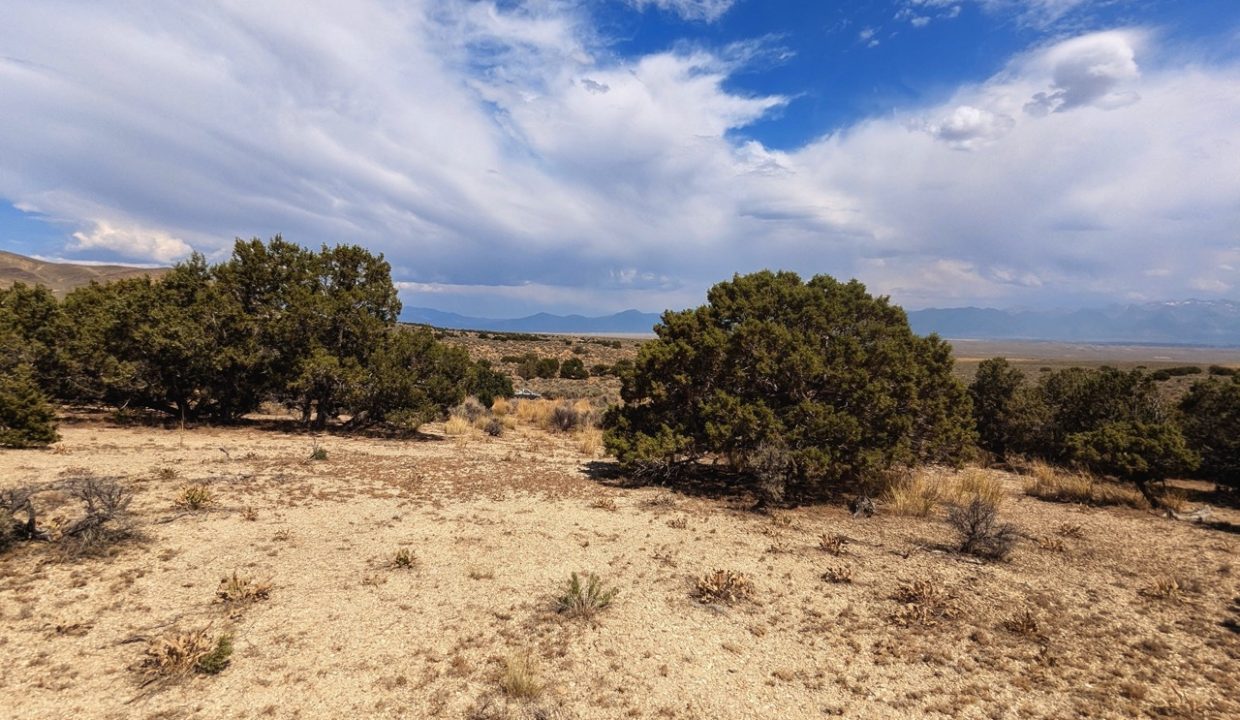 GroundPhoto8-NV-Elko-2.27ac-014-022-013-S-Syrett Large