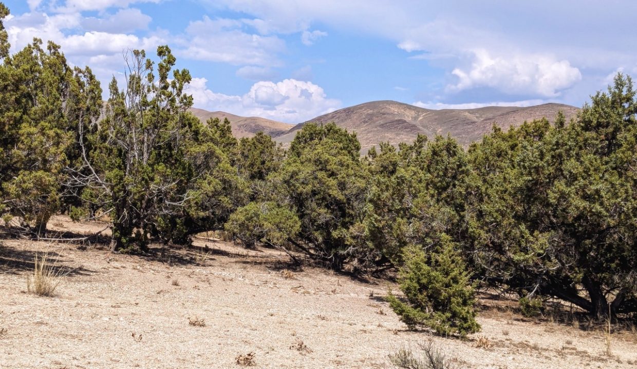 GroundPhoto9-NV-Elko-2.27ac-014-022-013-S-Syrett Large