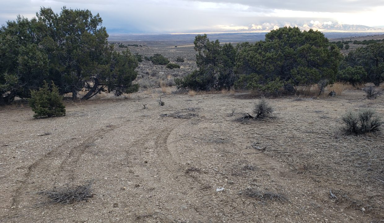 NV-Elko-2.27ac-014-022-003-S-Syrett (2)