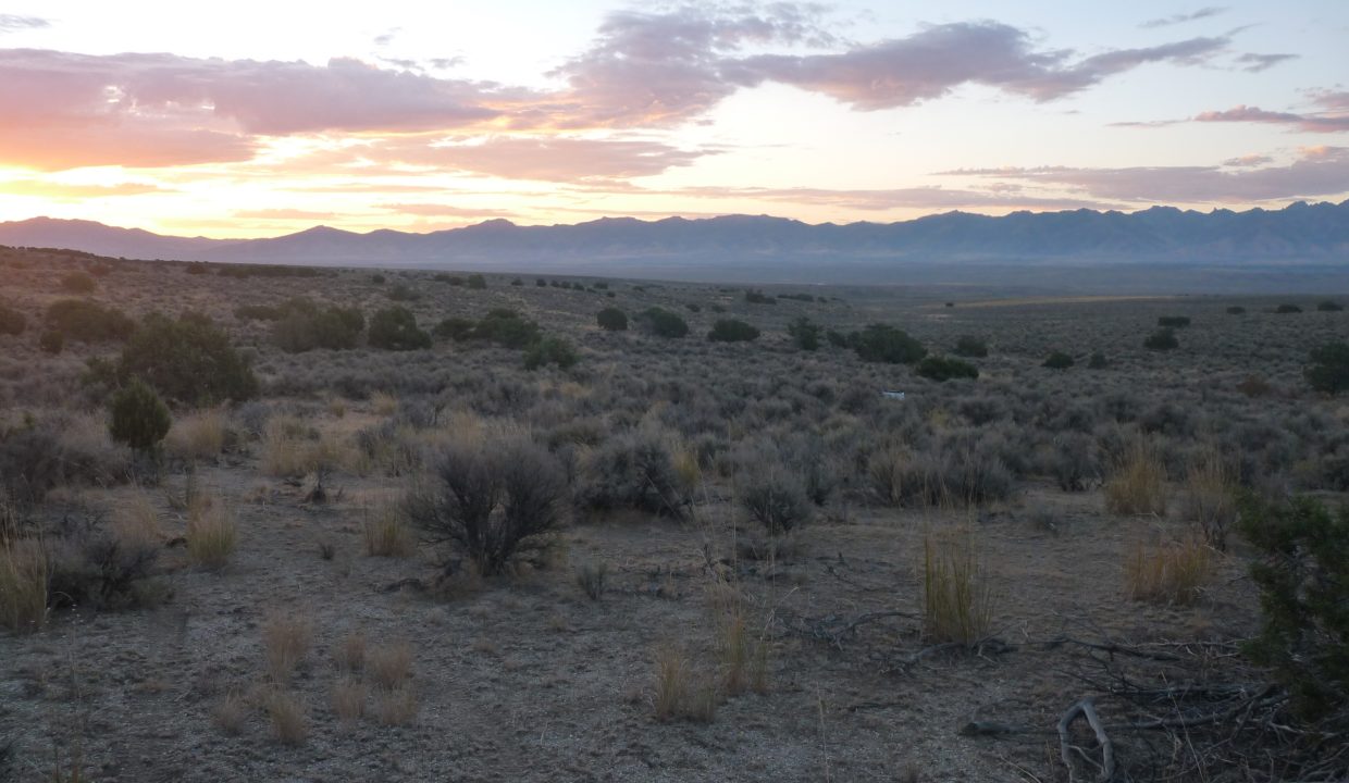 NV-Elko-2.27ac-014-022-013-S-Syrett