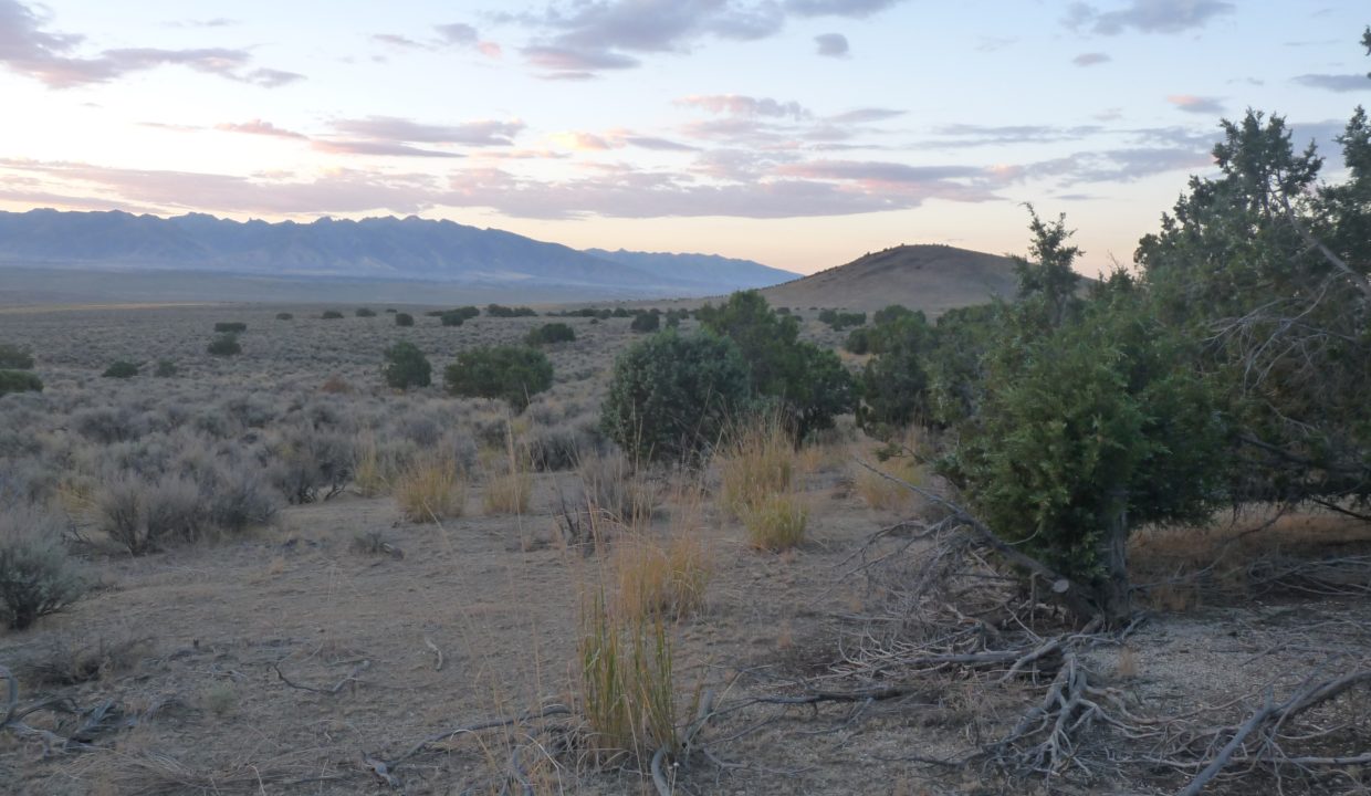 NV-Elko-2.27ac-014-022-013-S-Syrett (2)