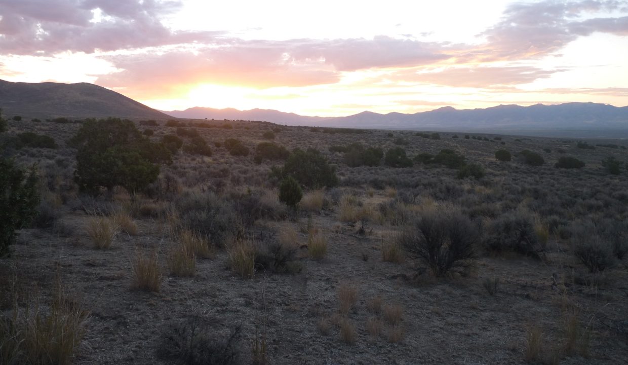 NV-Elko-2.27ac-014-023-002-S-Syrett