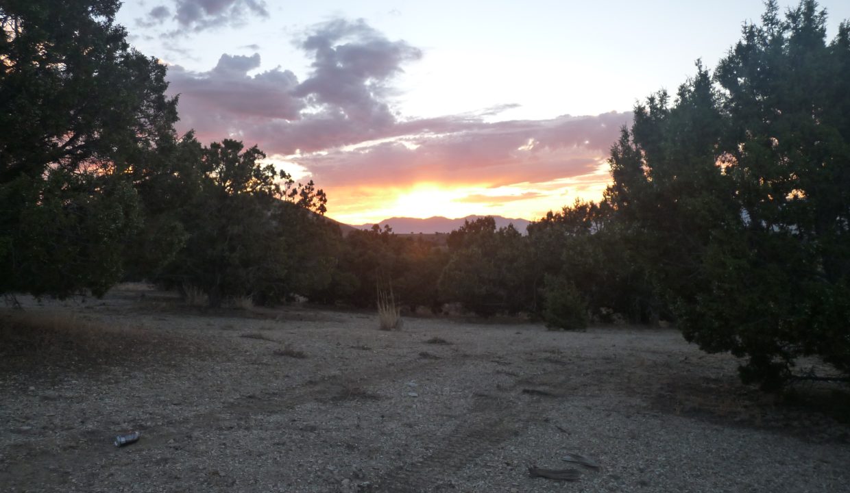 NV-Elko-9.08ac-014Multi-S-Syrett