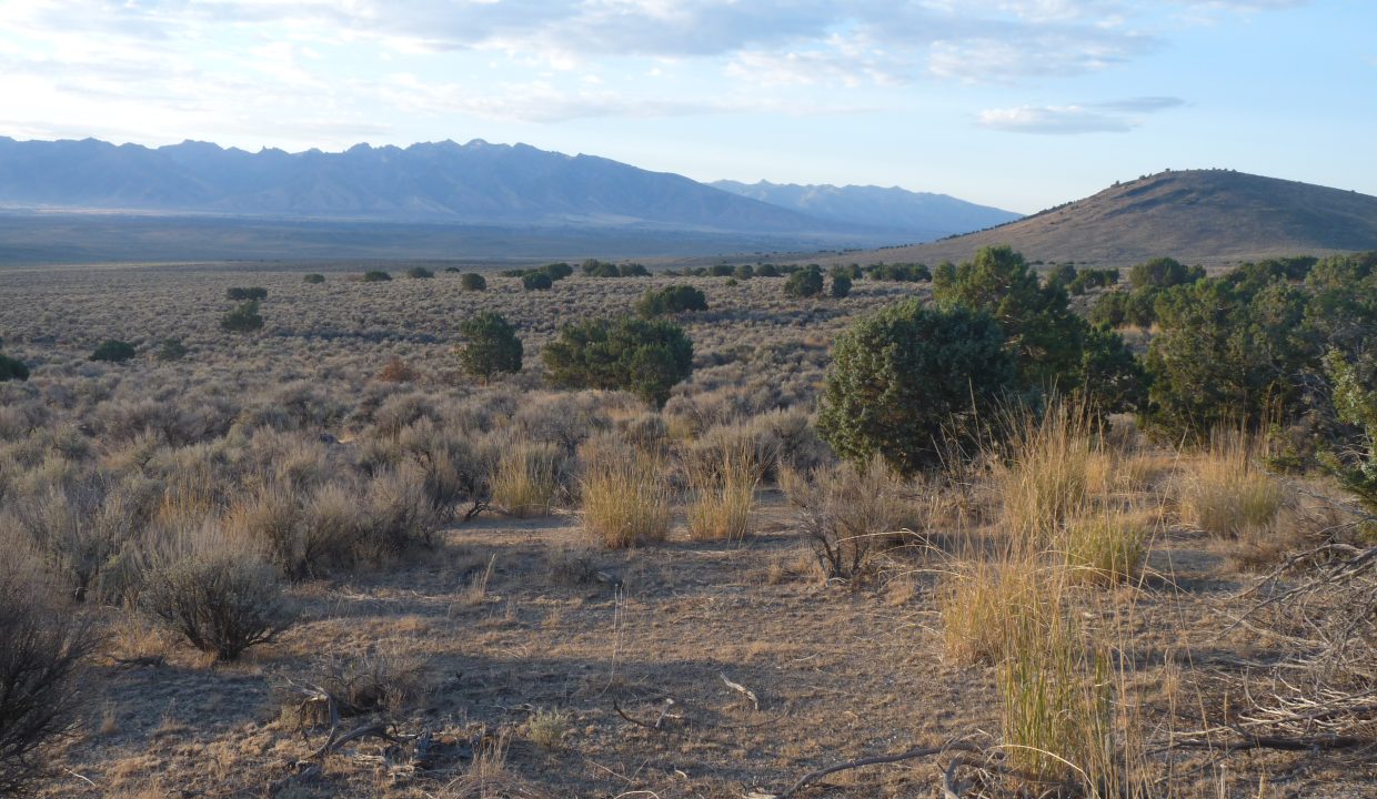 NV-Elko-9.08ac-014Multi-S-Syrett (2)