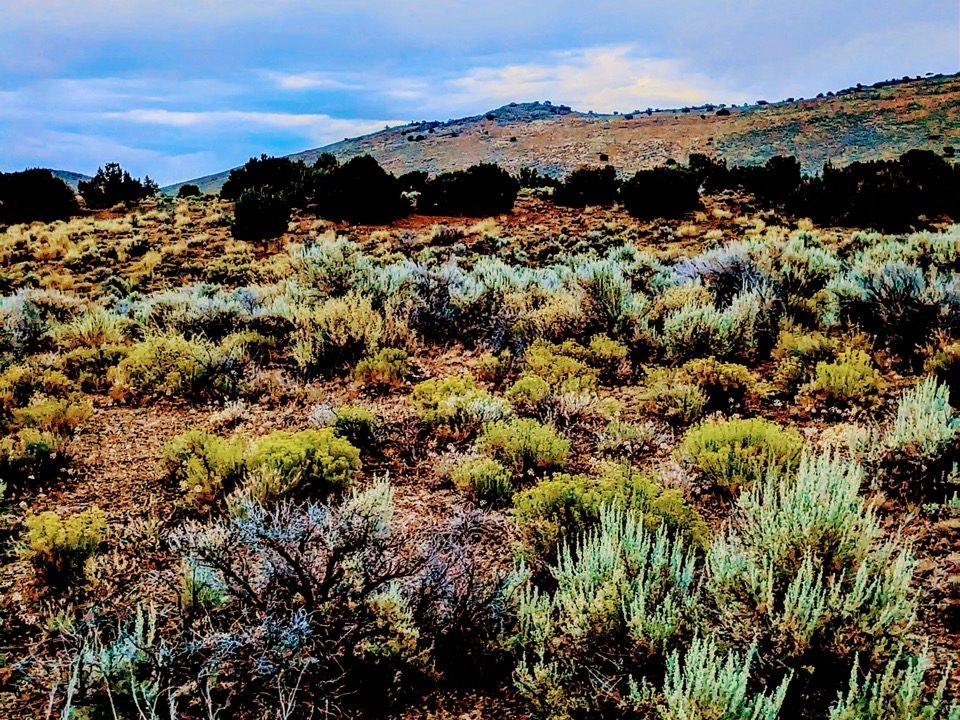 Photo11-NV-Elko-1.14ac-013-042-011-S-Syrett Large