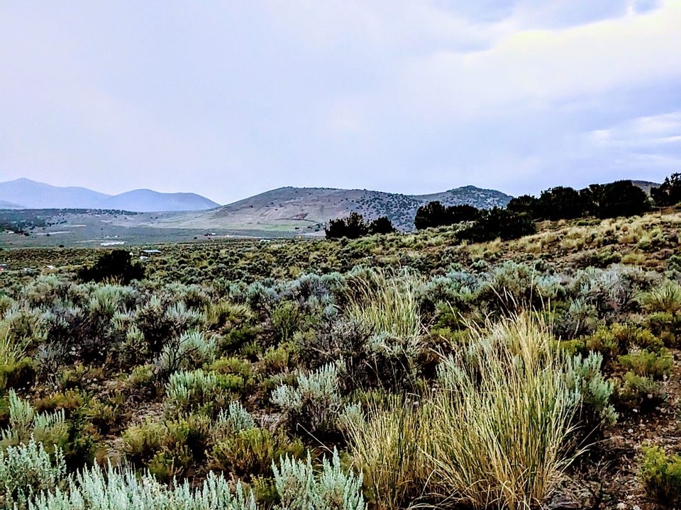 Photo12-NV-Elko-1.14ac-013-042-011-S-Syrett Large