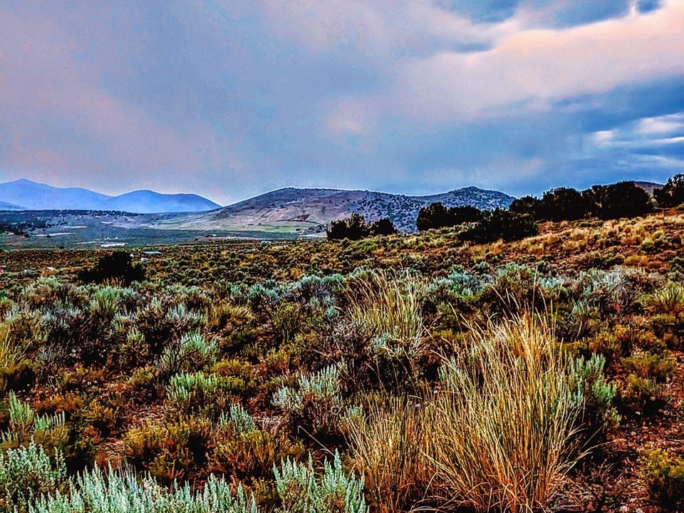 Photo13-NV-Elko-1.14ac-013-042-011-S-Syrett Large
