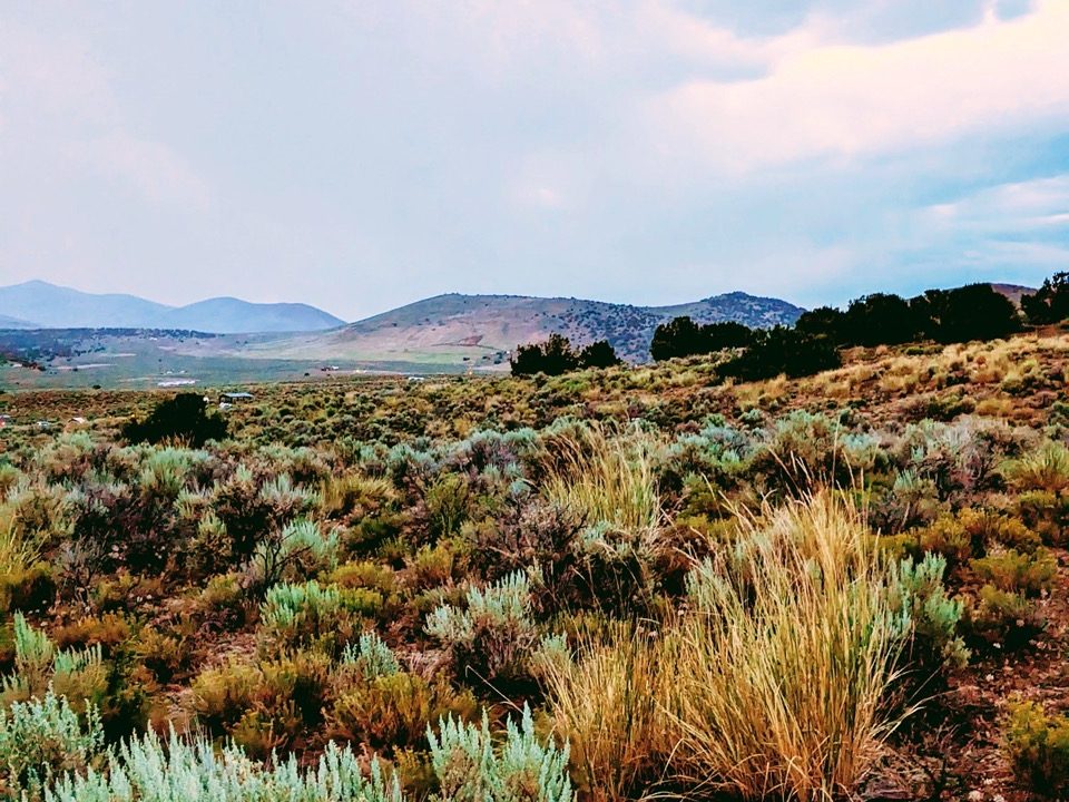 Photo14-NV-Elko-1.14ac-013-042-011-S-Syrett Large