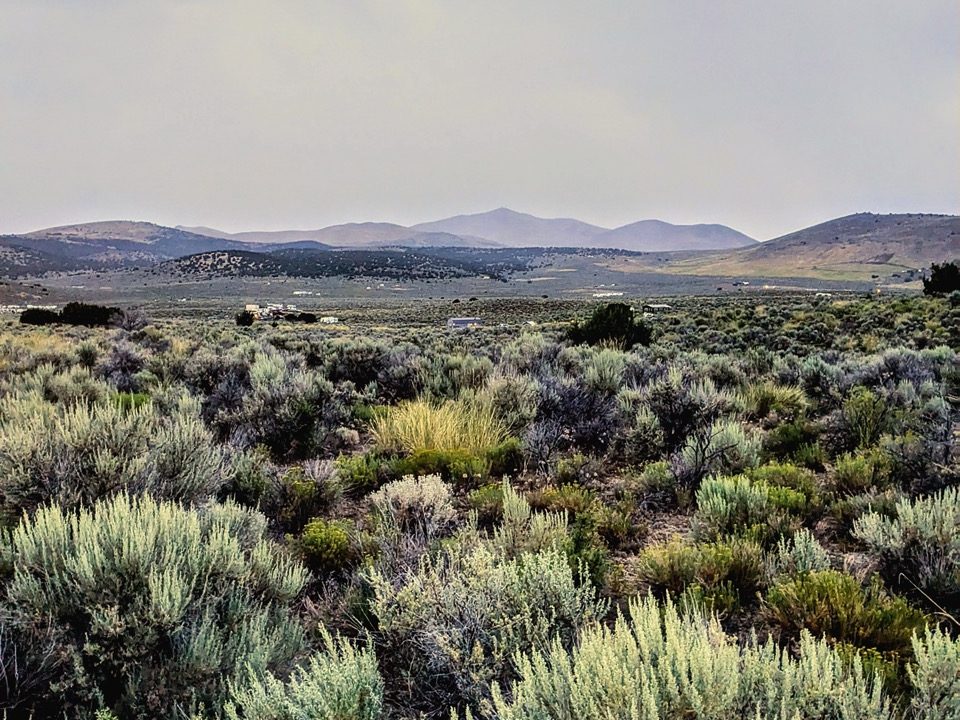 Photo15-NV-Elko-1.14ac-013-042-011-S-Syrett Large