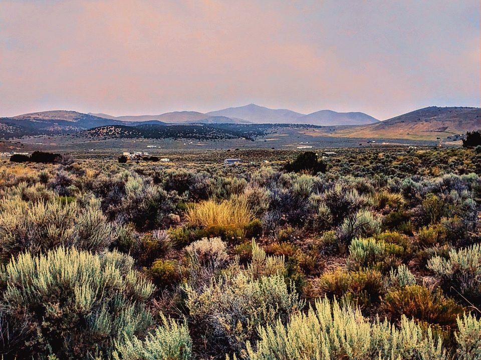 Photo16-NV-Elko-1.14ac-013-042-011-S-Syrett Large