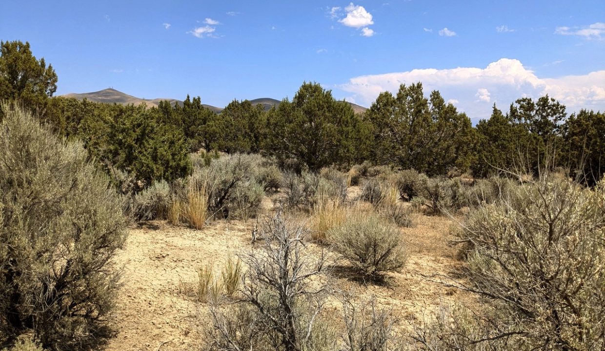 Photo17NV-Elko-2.27ac-014-022-003-S-Syrett Large
