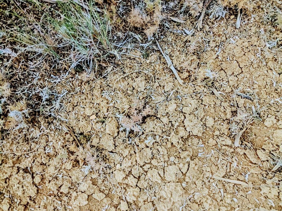 Photo1NV-Elko-2.27ac-014-023-012-S-Syrett Large