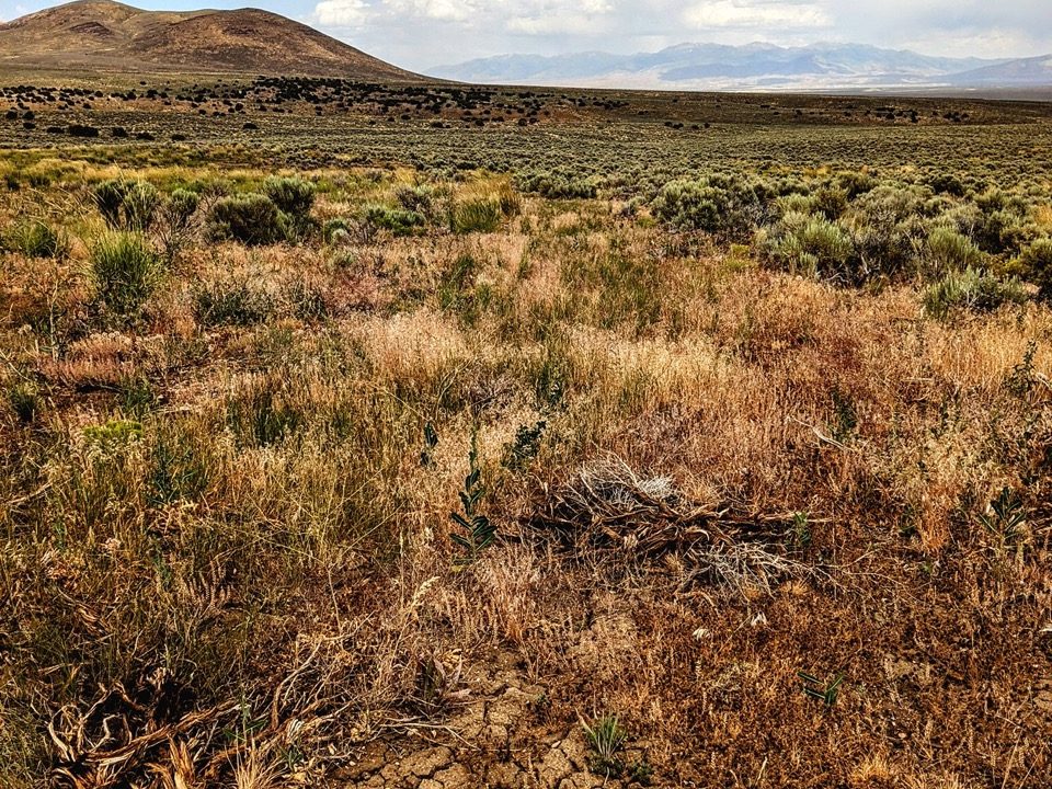 Photo21-NV-Elko-2.27ac-014-018-004-S-Syrett Large