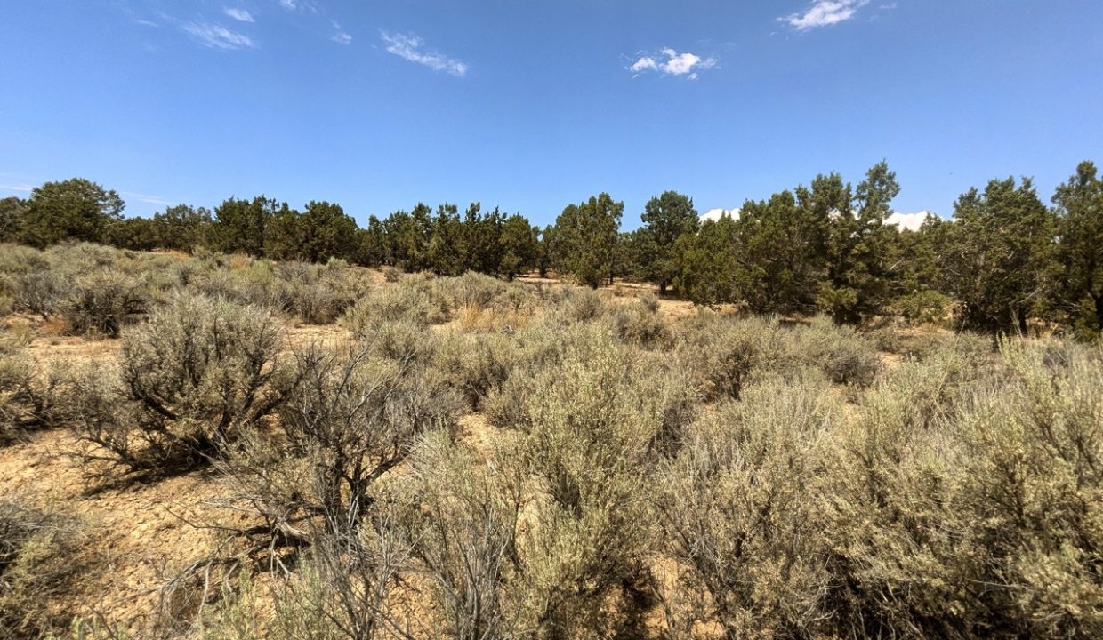 Photo23NV-Elko-2.27ac-014-022-003-S-Syrett Large
