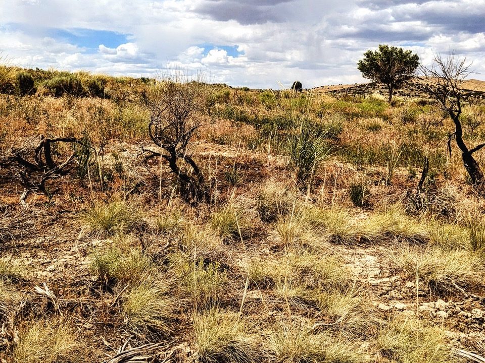 Photo31-NV-Elko-2.27ac-014-018-004-S-Syrett Large