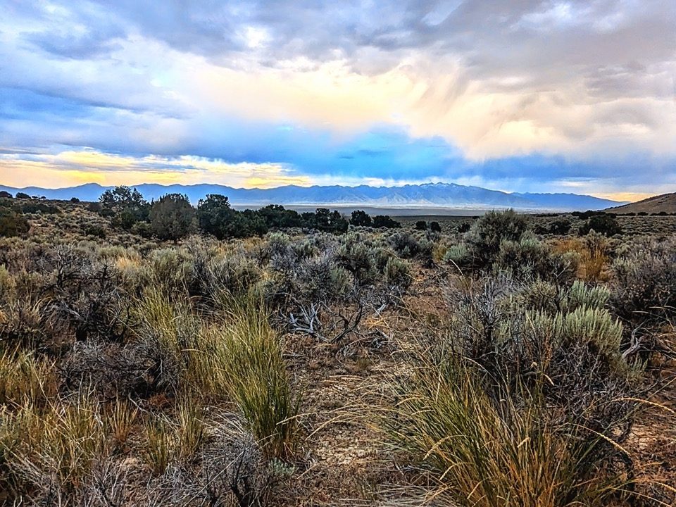 Photo4NV-Elko-2.27ac-014-023-012-S-Syrett Large