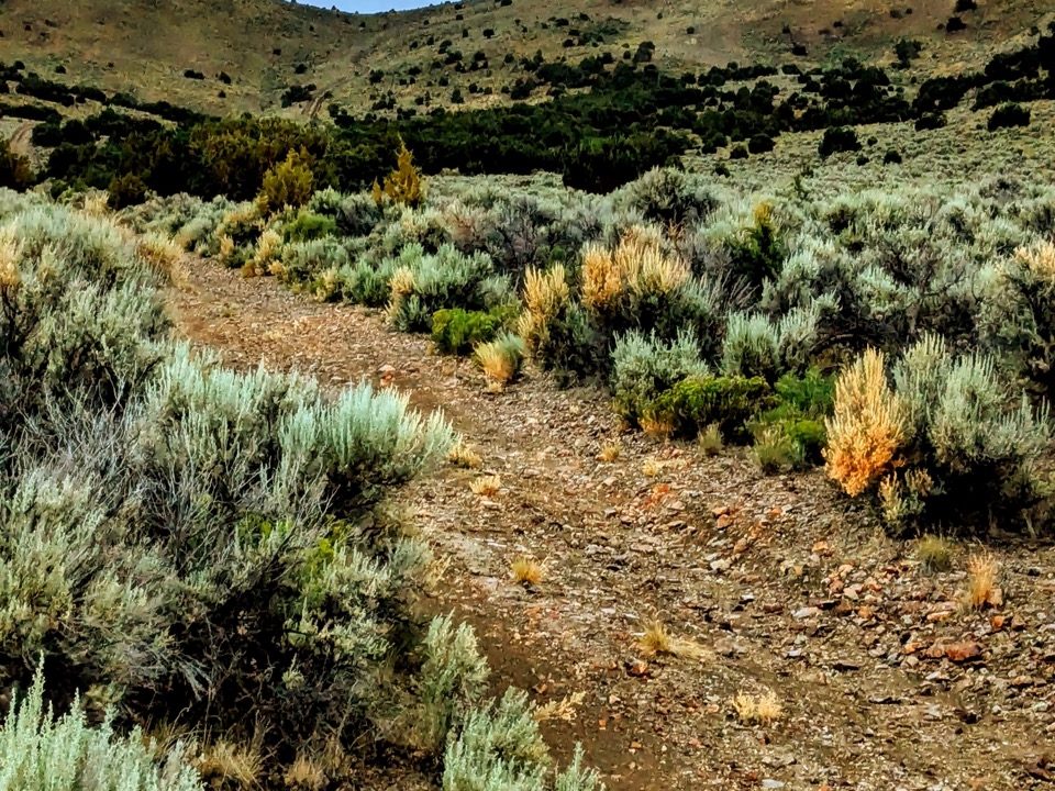 Photo8-NV-Elko-1.14ac-013-042-011-S-Syrett Large
