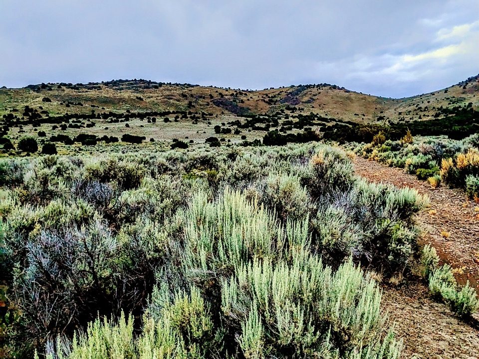 Photo9-NV-Elko-1.14ac-013-042-011-S-Syrett Large