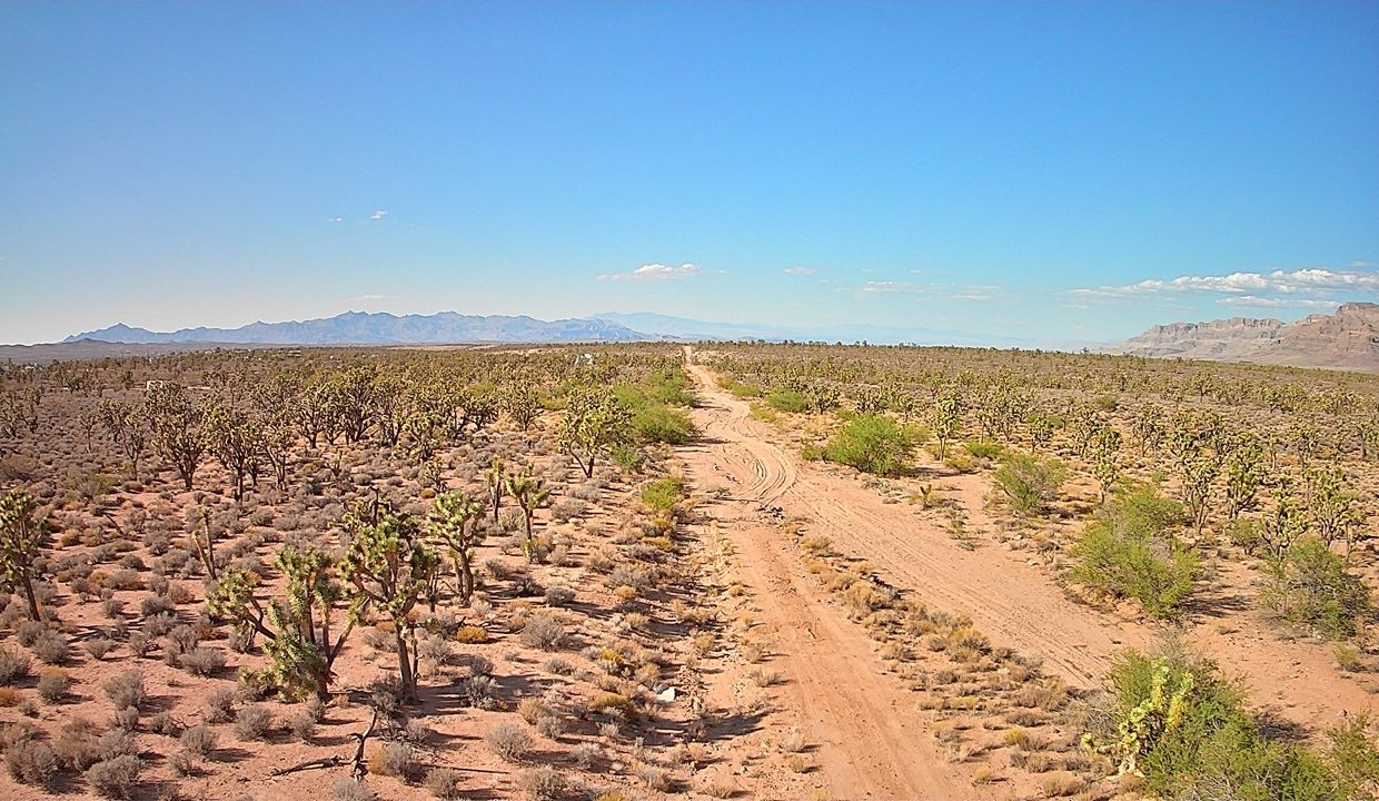 GroundPhoto1-AZ-Mohave-1.03ac-336-07-488-J-Bloss Large