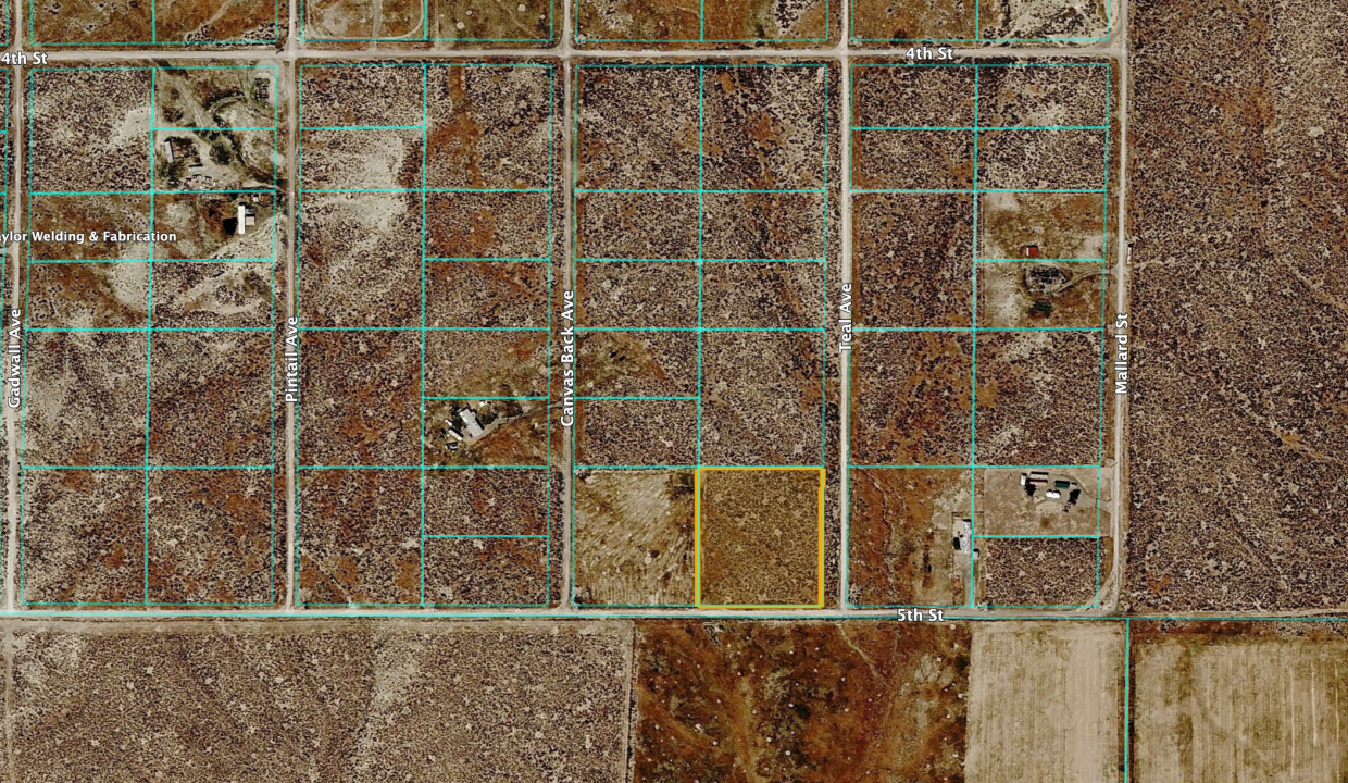 Screenshot 2026-03-13 at 10.49.30 PM