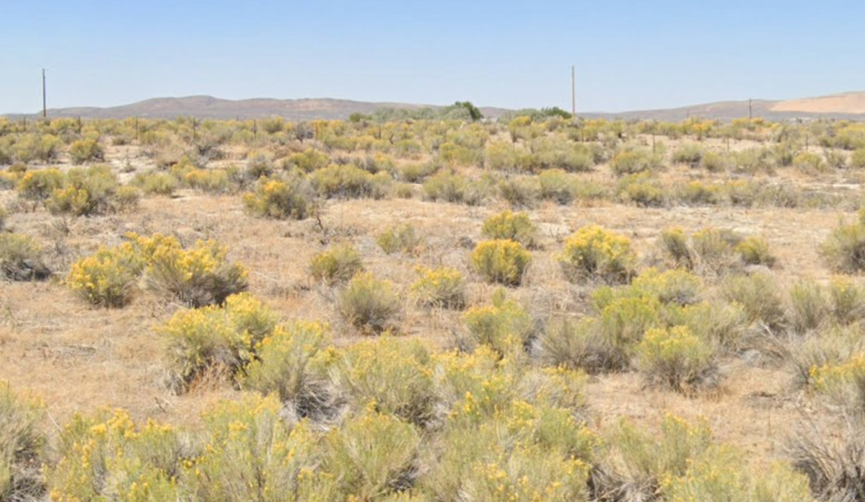 Screenshot 2026-03-14 at 9.42.17 AM