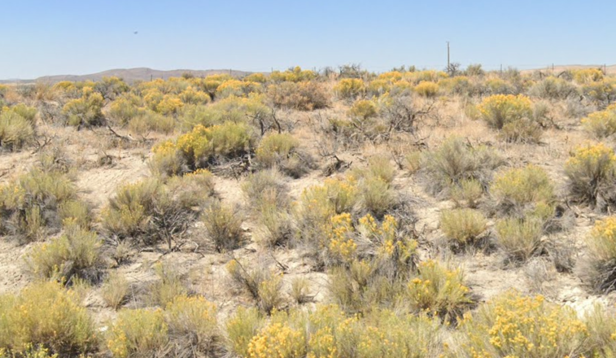 Screenshot 2026-03-14 at 9.42.38 AM