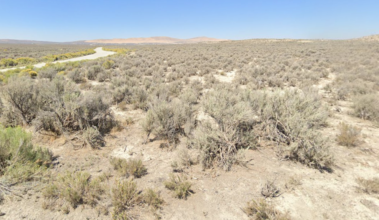 Screenshot 2026-03-14 at 9.43.23 AM