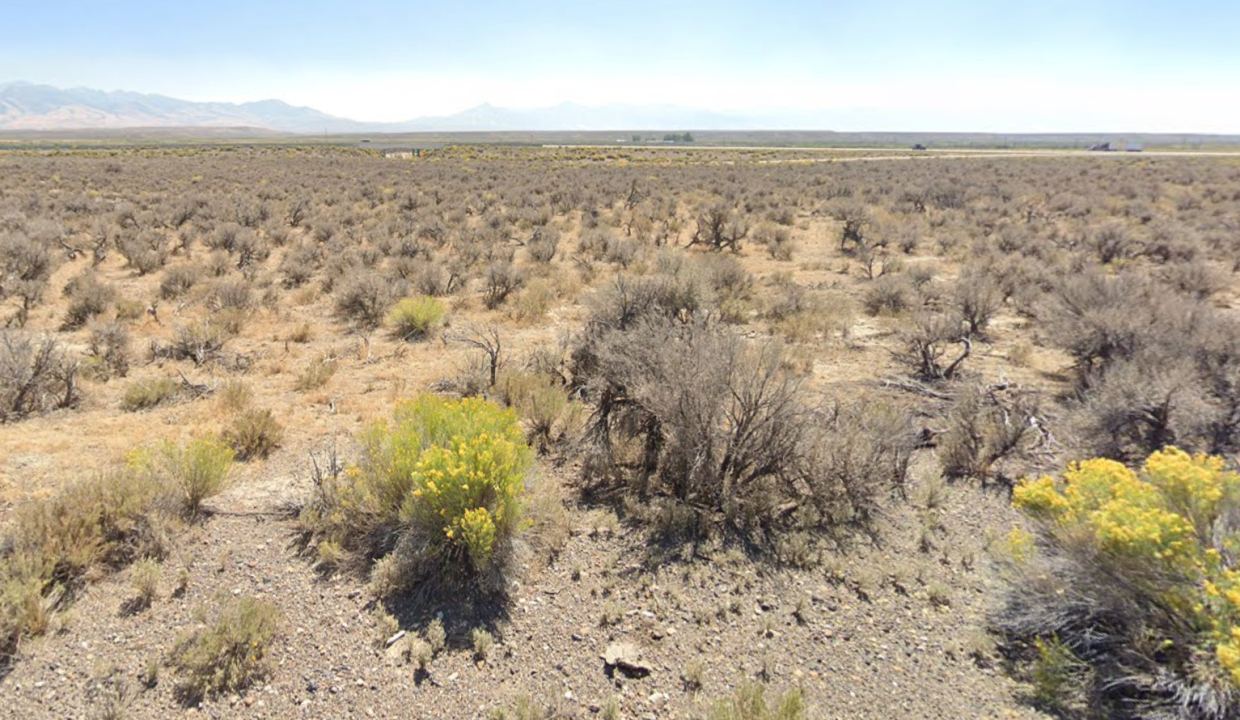 Screenshot 2026-03-14 at 9.43.52 AM