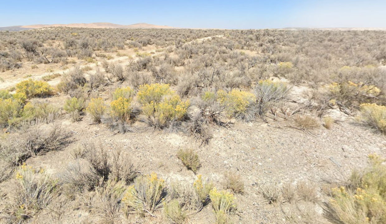 Screenshot 2026-03-14 at 9.44.14 AM